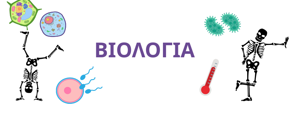 Εικόνα επιλογής